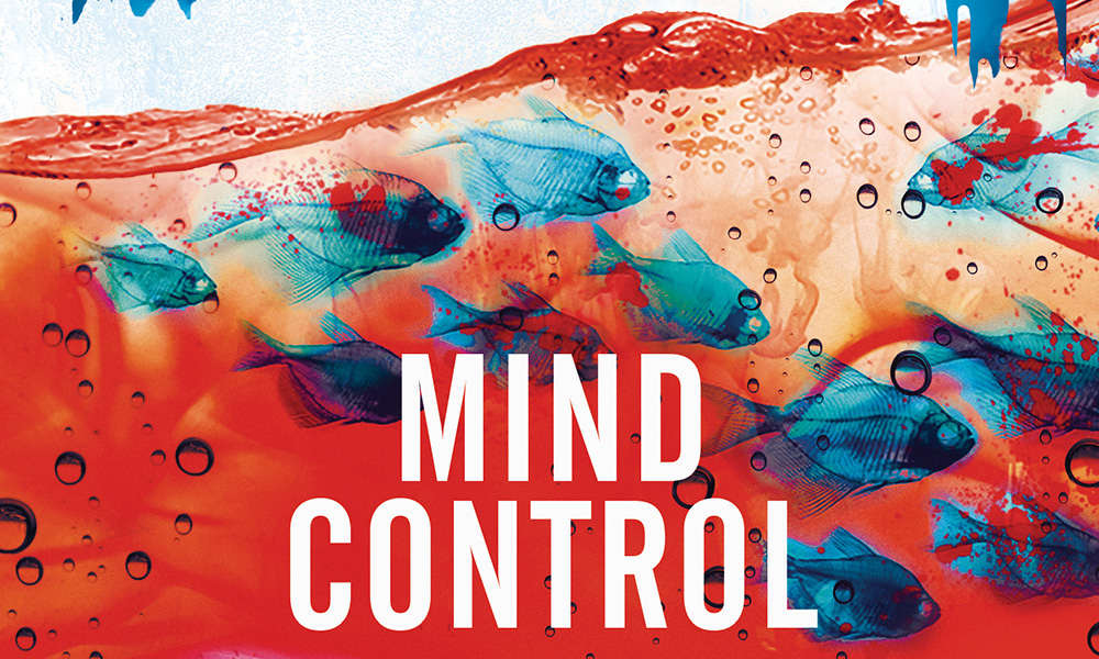Ausschnitt: Cover Heyne: Stephen King: Mind Control