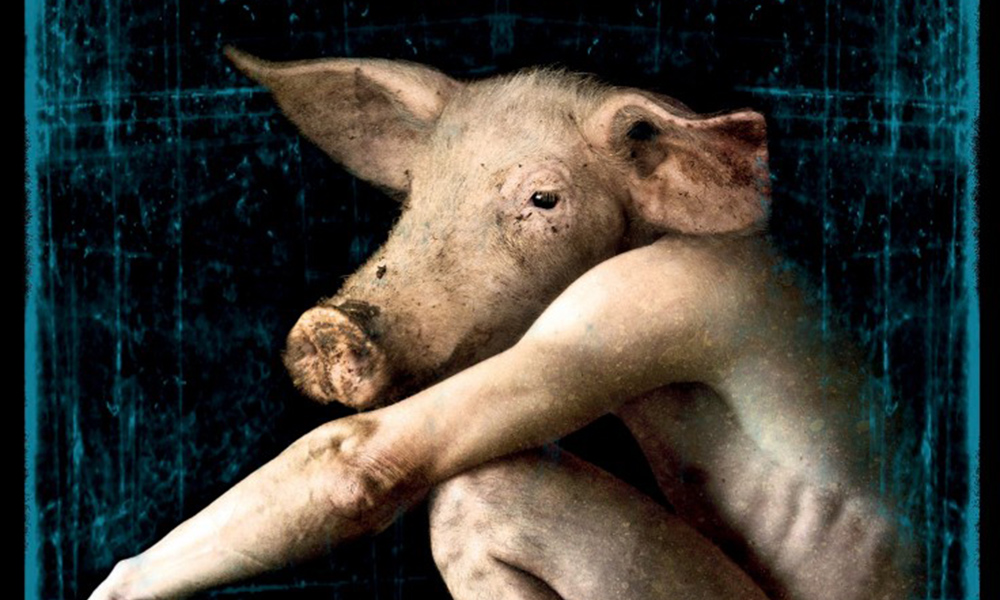 Ausschnitt Cover: Edward Lee: Das Schwein